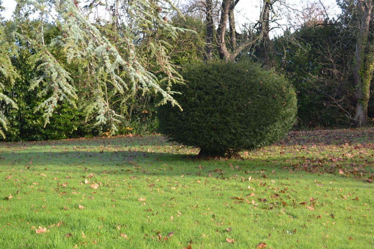 Gite Des Ecuries Derchigny Exterior photo